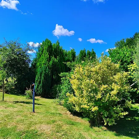 Przystan W Jezierzanach